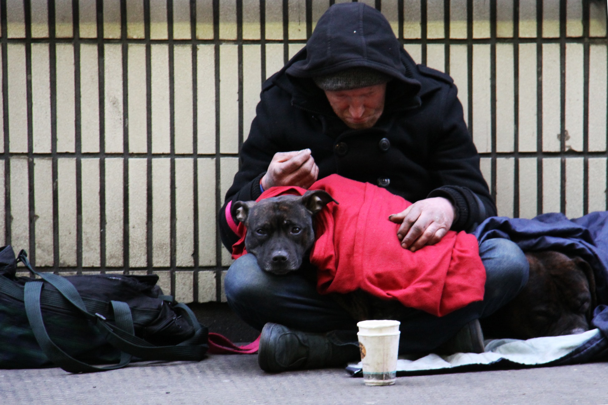 displaced man and his dog